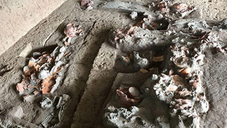 foto-descoperire-rara-dinti-vechi-de-4-000-de-ani-arata-ca-oamenii-consumau-nuci-cu-efecte-psihoactive_689055701b28e