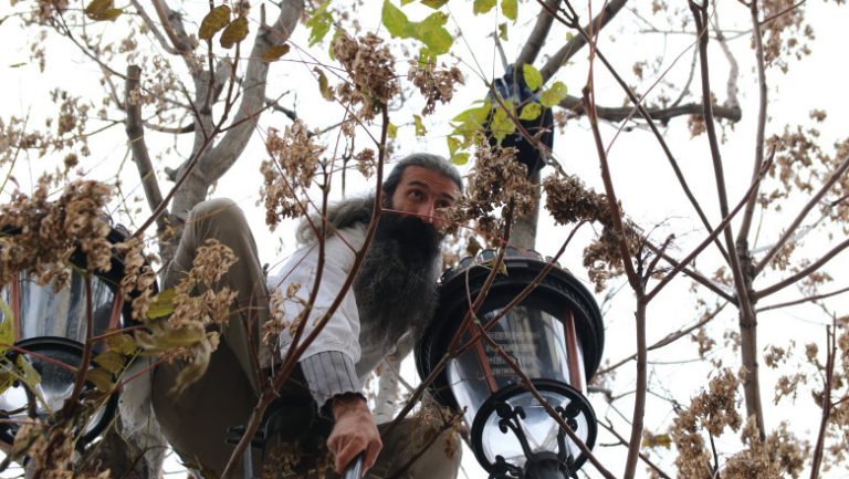 stegarul-dac-aflat-in-arest-la-rahova-a-escaladat-un-gard-si-s-a-urcat-intr-un-pom-intervin-politisti-negociatori-si-psihologi_688d2bfe5b4a8