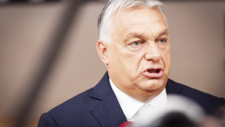 viktor-orban-vrea-un-sistem-comun-de-aparare-impotriva-imigratiei-in-europa-centrala-ce-rol-ar-avea-romania_688f8e2f38936
